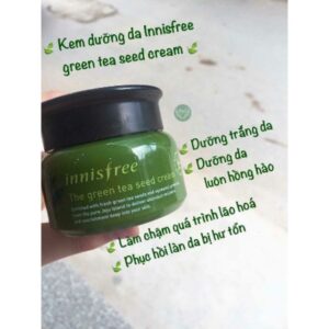 Kem Dưỡng Ẩm Chiết Xuất Mầm Trà Xanh Innisfree Green Tea Seed Cream