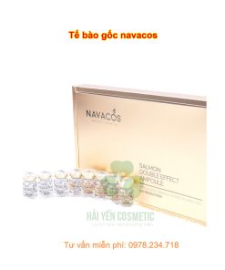 Tế bào gốc Navacos