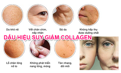 Cách bổ sung collagen cho da mặt